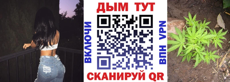 Бошки марихуана Amnesia  Владикавказ 